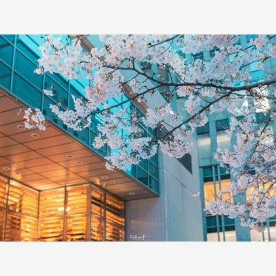 芯片ETF富国（516640）涨1.36%，成交额7964.18万元